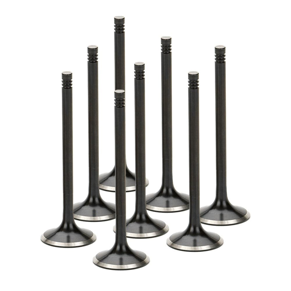 Supertech Black Nitride Exhaust Valve Set -  BMW S14