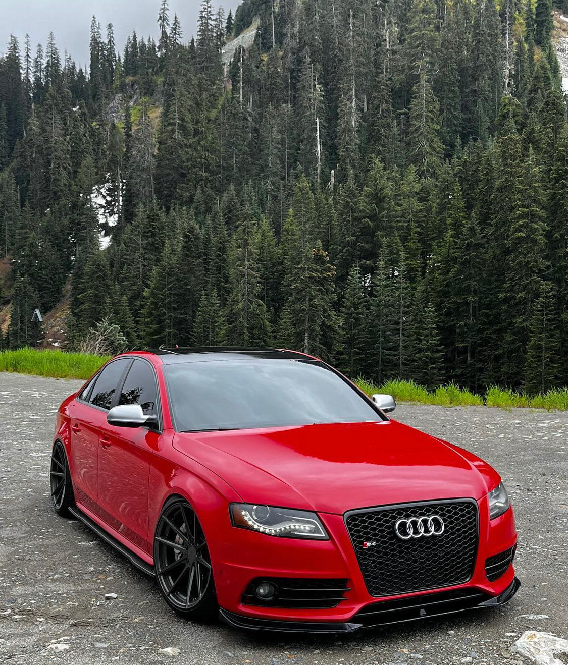 Audi RS4 Honeycomb Front Grille | (2009-2012) B8 A4/S4