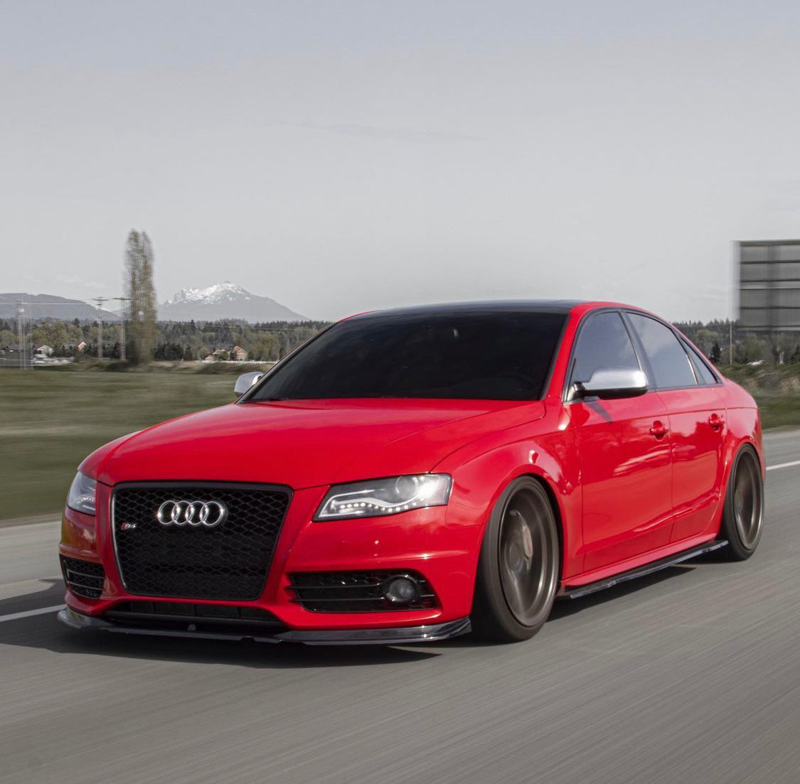 Audi RS4 Honeycomb Front Grille | (2009-2012) B8 A4/S4