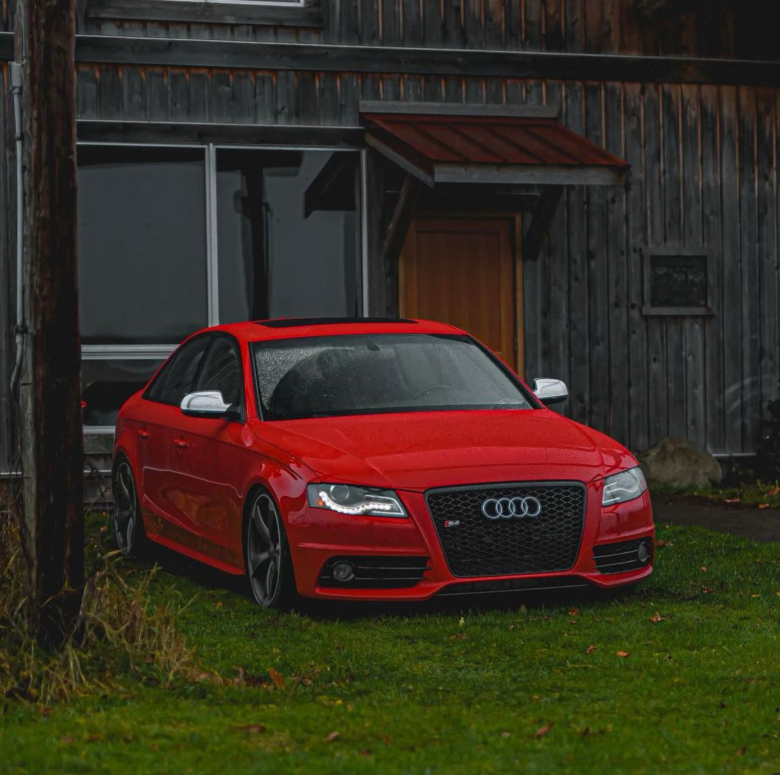 Audi RS4 Honeycomb Front Grille | (2009-2012) B8 A4/S4