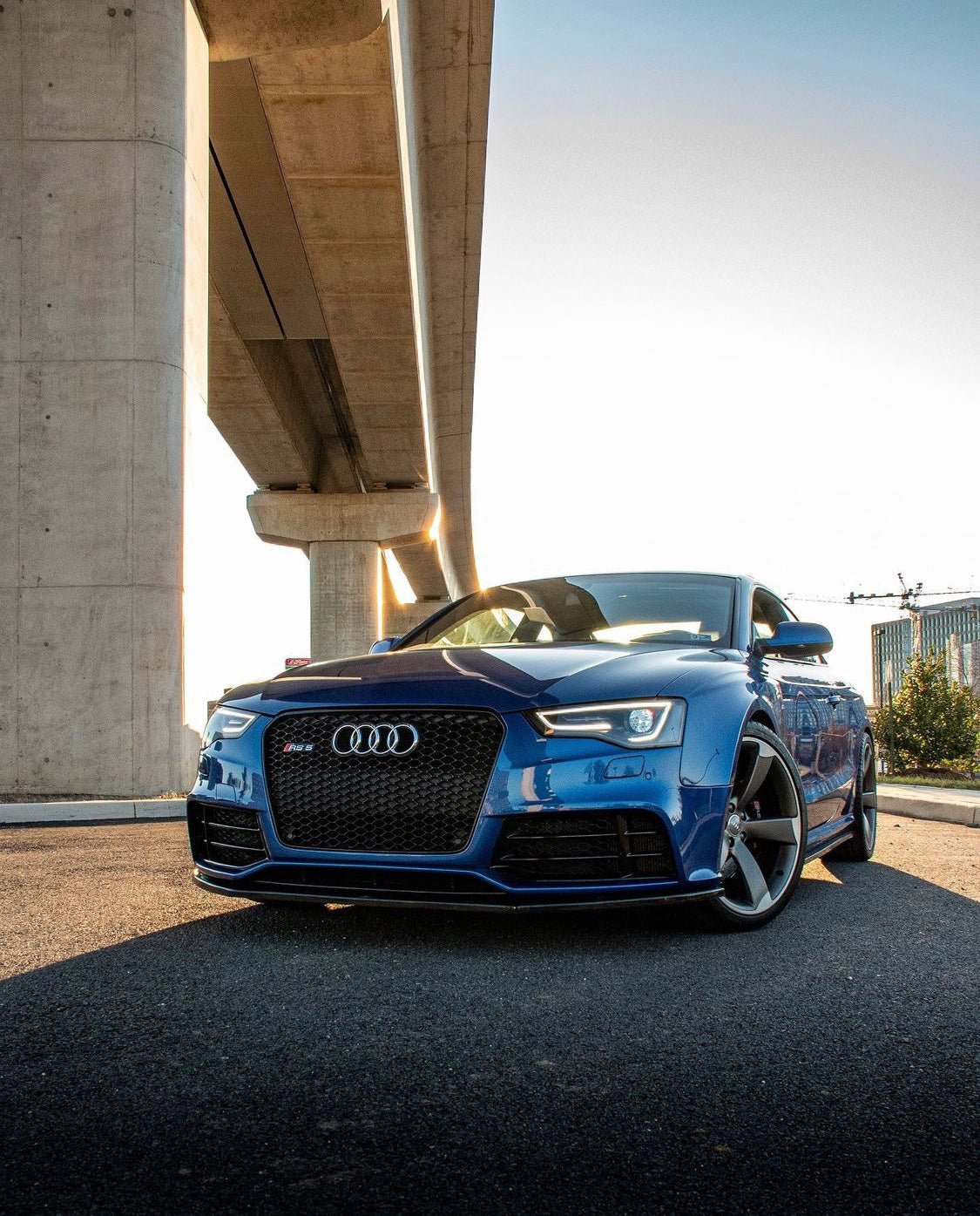 Audi RS5 Honeycomb Front Grille | (2013-2016) B8.5 A5/S5