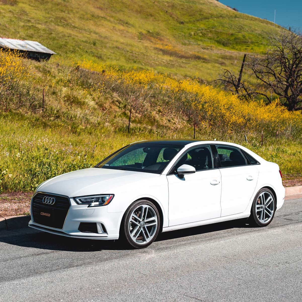 034 Motorsport Dynamic+ Lowering Springs - Audi / 8V / A3 / S3 (Non-Magride)